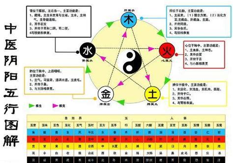 金生水意思|怎样理解五行理论中的“金生水”？